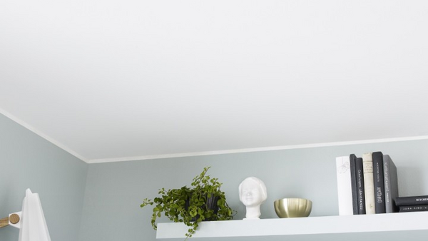 Раніше не пофарбовані стелі Раніше не пофарбовані стелі